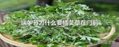 端午节为什么要插艾草在门前