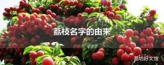 荔枝名字的由来