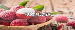 荔枝能放冰箱吗