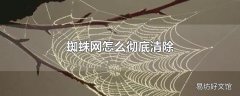 蜘蛛网怎么彻底清除