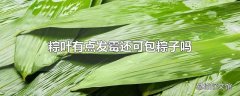 粽叶有点发霉还可包粽子吗