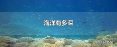 海洋有多深