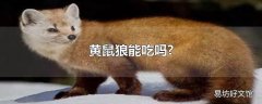 黄鼠狼能吃吗?