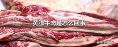 黄膘牛肉是怎么回事