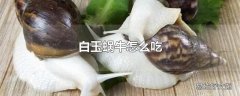 白玉蜗牛怎么吃