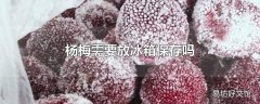 杨梅需要放冰箱保存吗