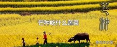 芒种吃什么蔬菜