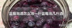 蓝莓泡酒怎么泡一斤蓝莓泡几斤酒