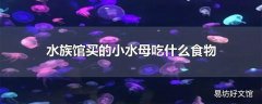 水族馆买的小水母吃什么食物