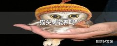 猫头鹰能养吗?