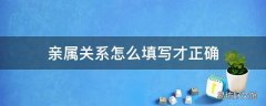 亲属关系怎么填写才正确