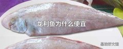 龙利鱼为什么便宜