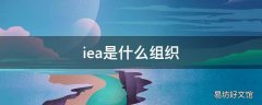 iea是什么组织