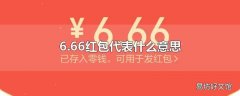 6.66红包代表什么意思