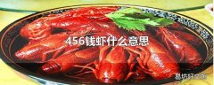 456钱虾什么意思