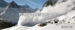 在南极遇到雪崩怎么办