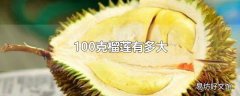 100克榴莲有多大