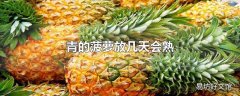 青的菠萝放几天会熟