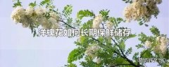 洋槐花如何长期保鲜储存