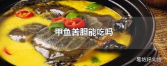 甲鱼苦胆能吃吗