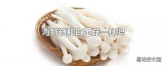 海鲜菇和白玉菇一样吗