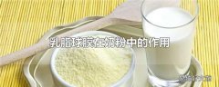 乳脂球膜在奶粉中的作用