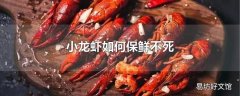 小龙虾如何保鲜不死