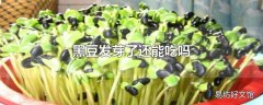 黑豆发芽了还能吃吗