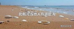 北戴河当地人在哪赶海