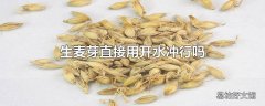 生麦芽直接用开水冲行吗