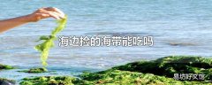 海边捡的海带能吃吗