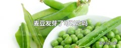 麦豆发芽了可以吃吗