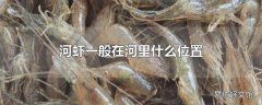 河虾一般在河里什么位置