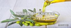 橄榄油是用什么榨出来的