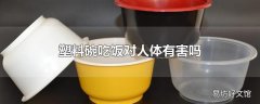 塑料碗吃饭对人体有害吗