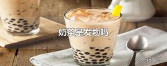 奶茶是发物吗