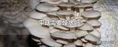 平菇需要焯水吗