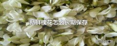 新鲜槐花怎么长期保存