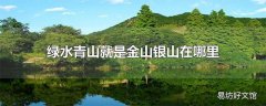 绿水青山就是金山银山在哪里提出的