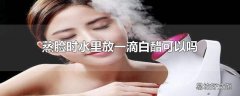 蒸脸时水里放一滴白醋可以吗