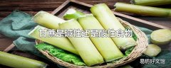 甘蔗是碱性还是酸性食物