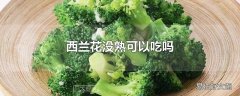 西兰花没熟可以吃吗