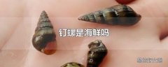 钉螺是海鲜吗