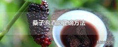 桑子泡酒的正确方法