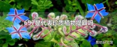 697是代表珍贵植物提取吗