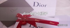 dior是什么牌子