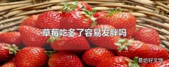 草莓吃多了容易发胖吗