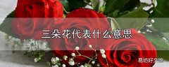 三朵花代表什么意思