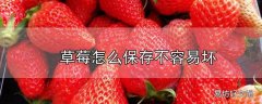 草莓怎么保存不容易坏