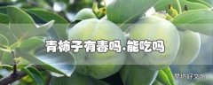 青柿子有毒吗,能吃吗